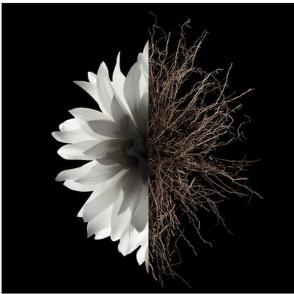 Givency L’Interdit Perfume - Picture 4 of 10